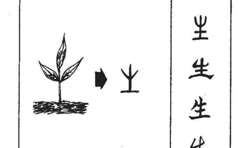 修正药业生产的肺宁颗粒多少钱一盒-修正肺宁颗粒事件网 :分享修正肺宁颗粒是中成药吗-修正肺宁颗粒多少钱一盒10袋知识
